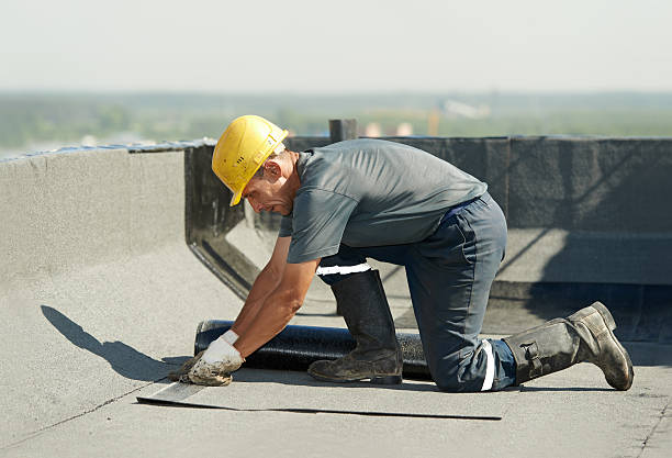 Best Specialty Insulation in Pimmit Hills, VA